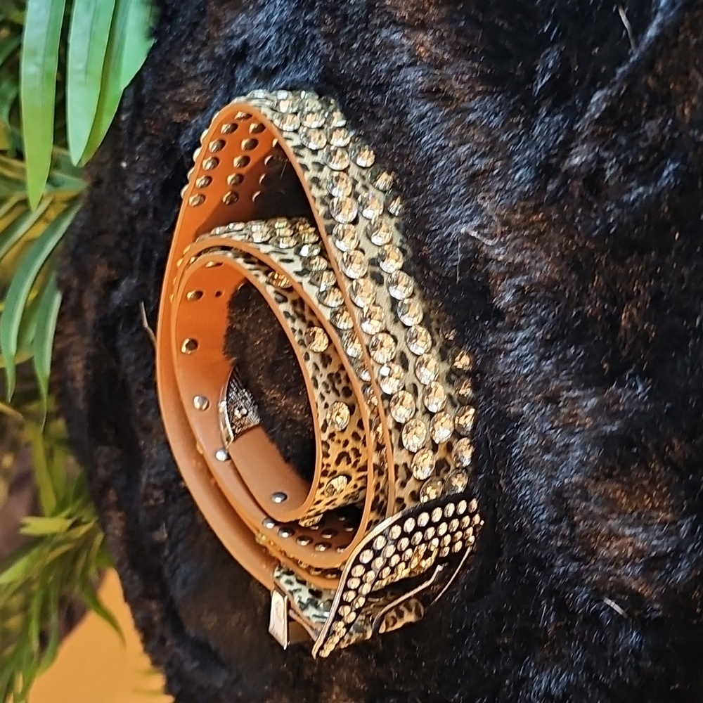 Amazon Brown and Silver Rhinestone Belt - Picture 4 of 4